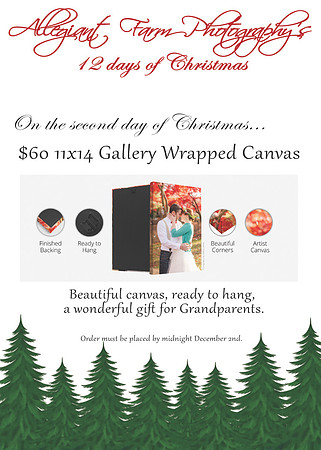 12 days of christmas specials-02