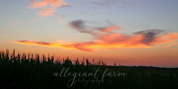 Heartland Sunset