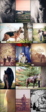 2012 Collage