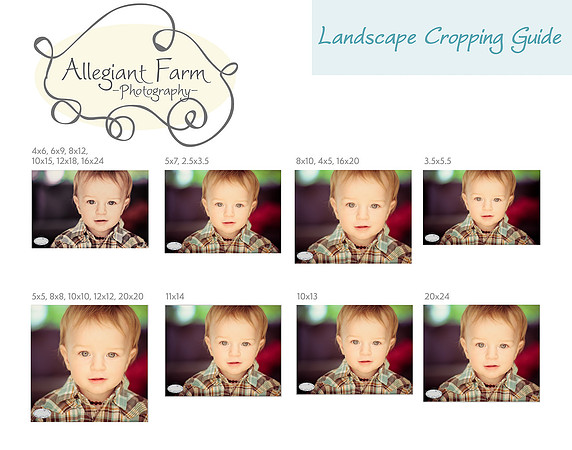 Cropping Guide Landscape-01