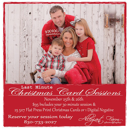 Christmas Card sessions