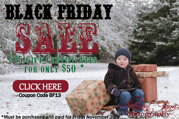 Black Friday Sale-01-01-01