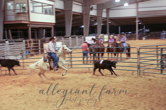 C.F.Sorting (155)