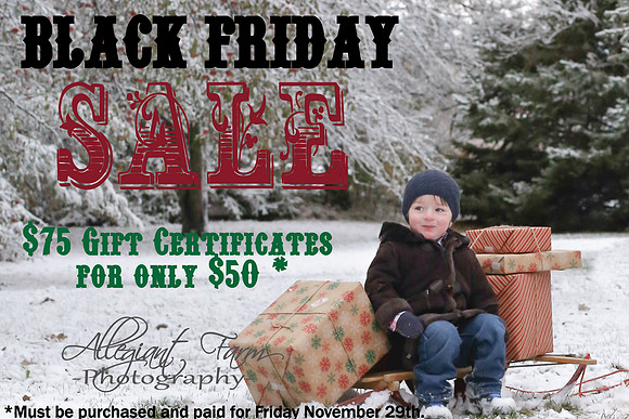 Black Friday Sale-01-01
