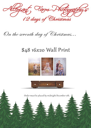 12 days of christmas specials-07
