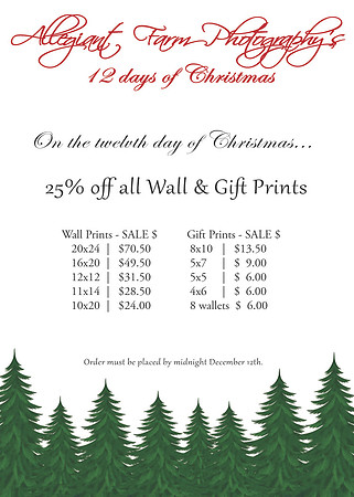 12 days of christmas specials-12