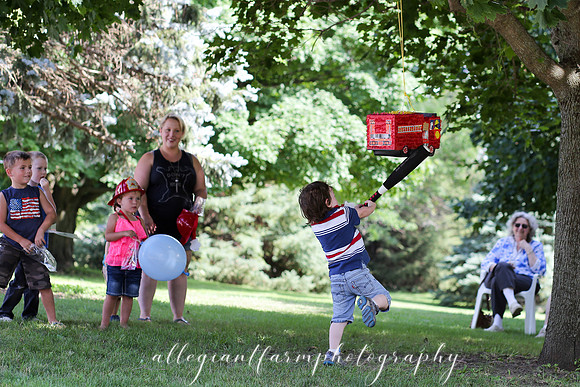Party (10)