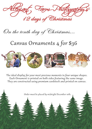 12 days of christmas specials-10