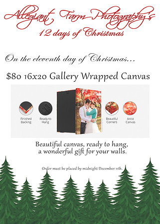 12 days of christmas specials-11