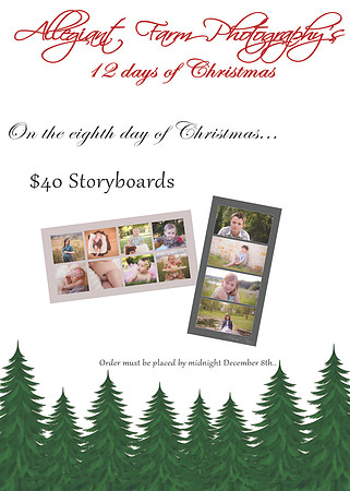 12 days of christmas specials-08