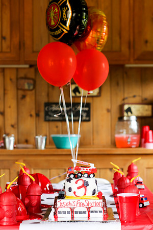 Party (28)
