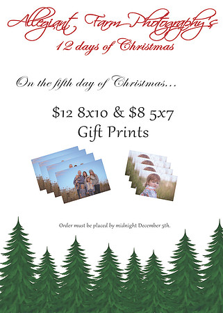 12 days of christmas specials-05
