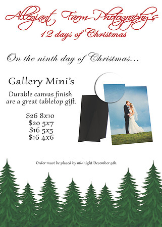 12 days of christmas specials-09