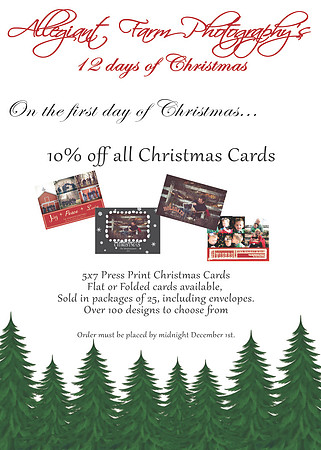 12 days of christmas specials-01