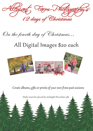12 days of christmas specials-04
