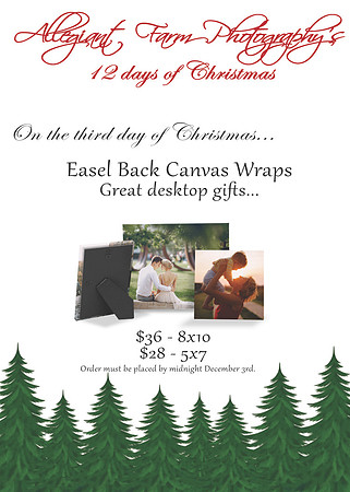 12 days of christmas specials-03