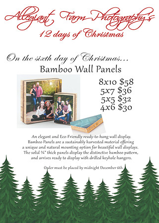 12 days of christmas specials-06